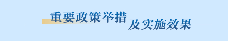 重要政策舉措及實施效果